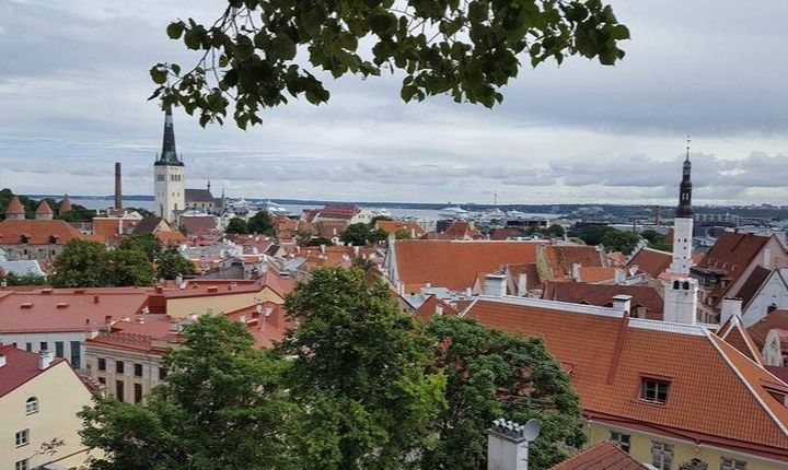 Domberget i tallinn