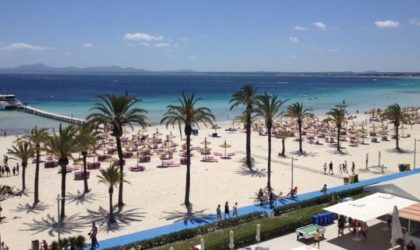 Att göra i Alcudia – 12 tips inför resan till Mallorca