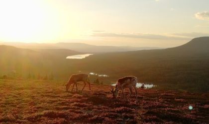 Att göra i Idre på sommaren – 14 tips för semestern i Idre