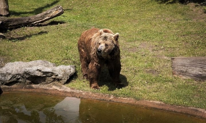 zoo Berlin