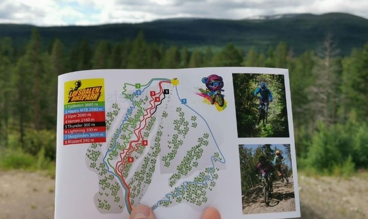 lofsdalen bikepark