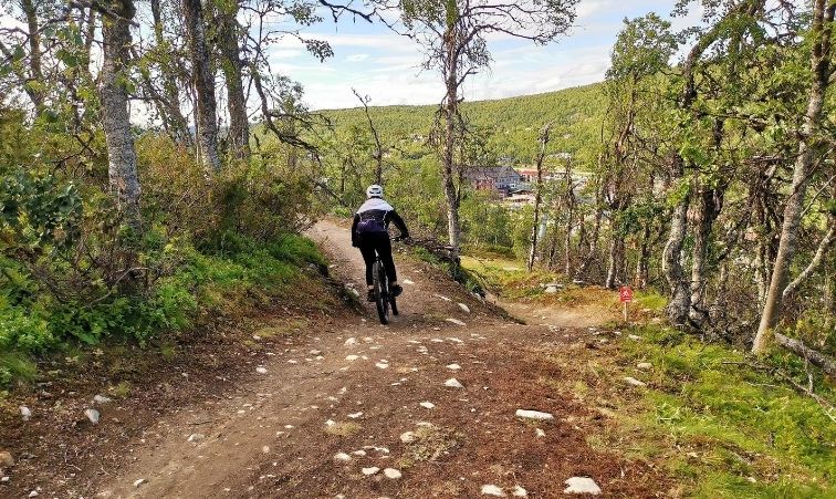 downhill tänndalen