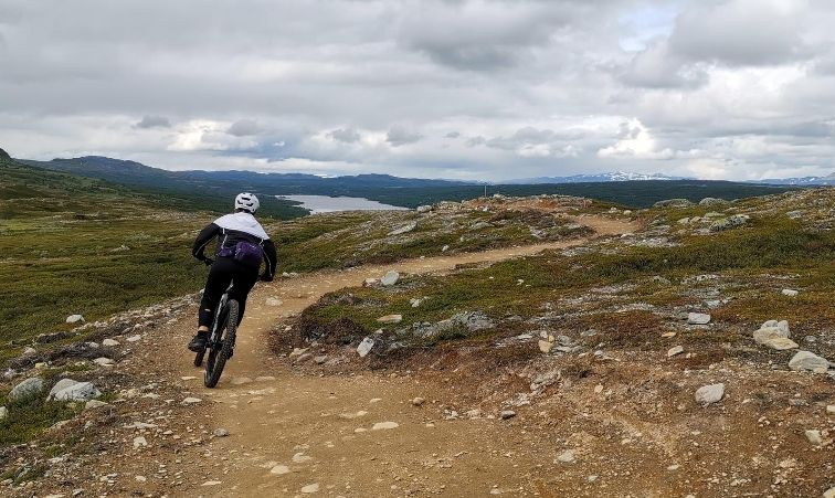 Tänndalen fjällflyt