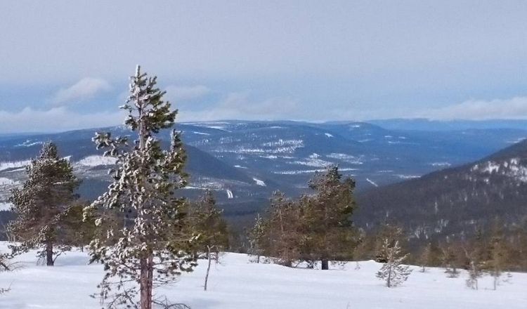 hundfjället bästa skidorter i Sverige