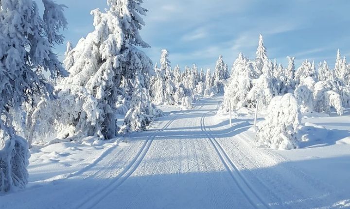 åka längdskidor i åre