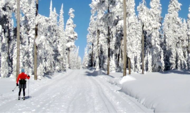 åka längdskidor i sälen