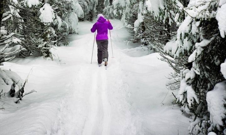 åka längdskidor i vemdalen