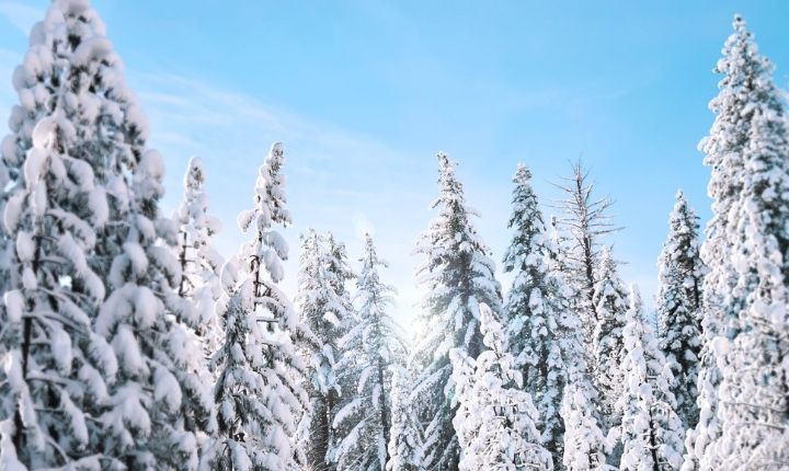 åka längdskidor i gävle