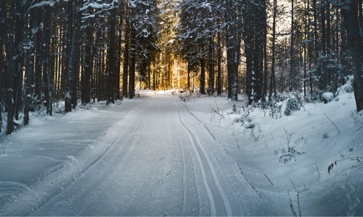 åka längdskidor i östersund