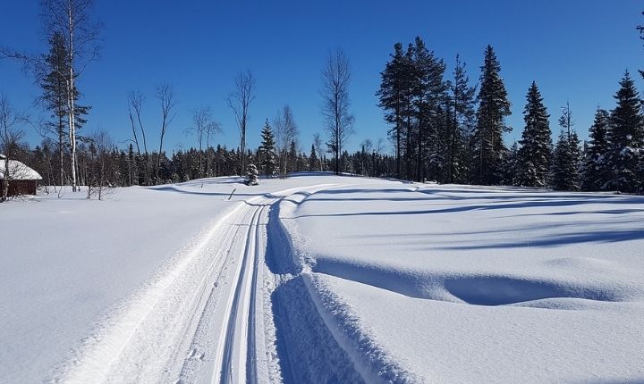 längdskidor vinter