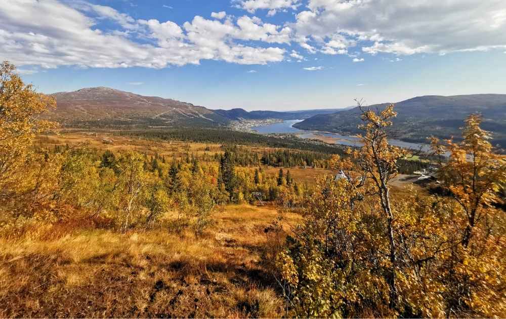 fjällvandra på hösten