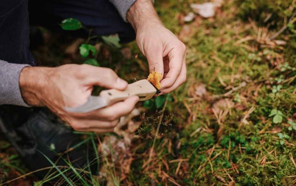 svampkniv bäst i test