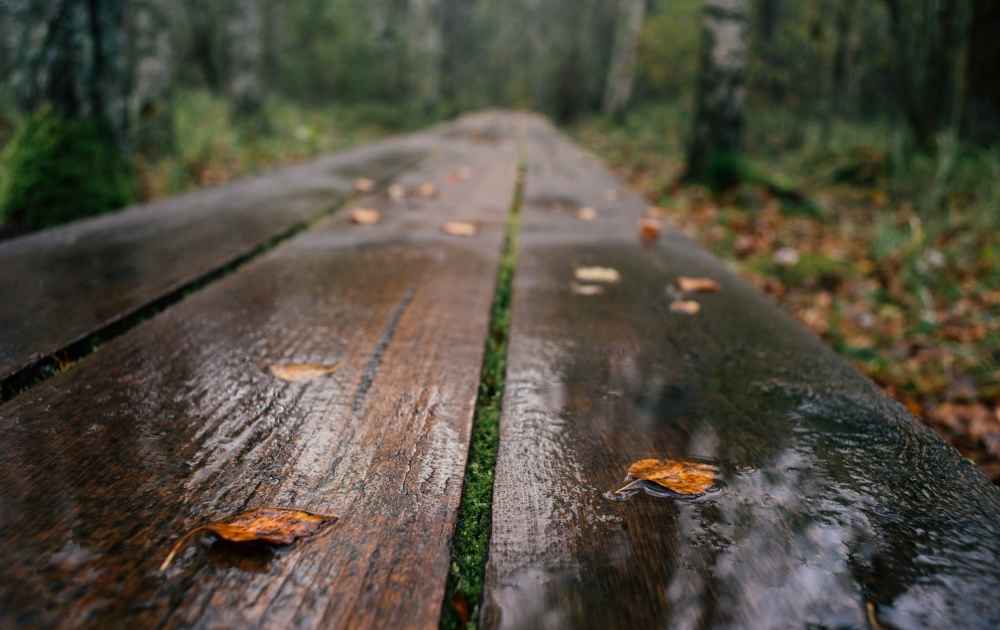 tips för vandring i regn