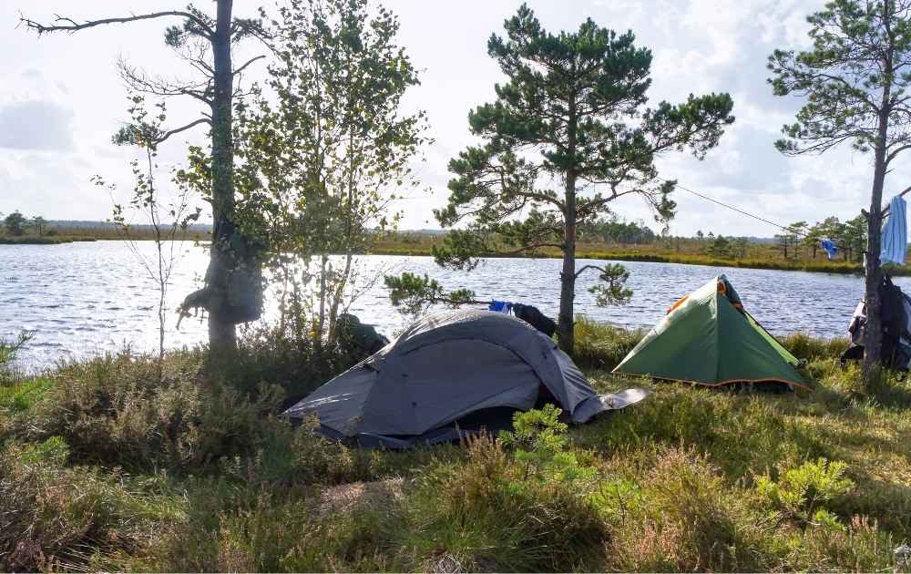 undvik stillåstående vatten där mygg trivs